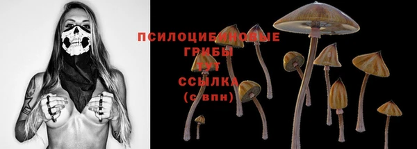 ALPHA PVP Верхний Тагил