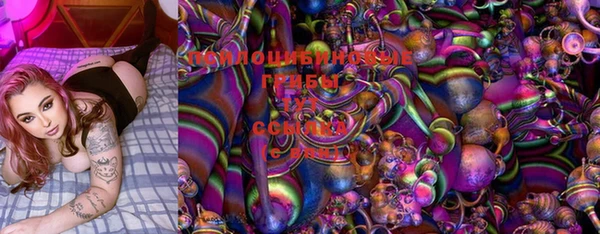индика Верхнеуральск