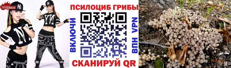 гидра ссылки  Тольятти  Псилоцибиновые грибы ЛСД 